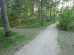 Dejlig ny sti igennem skoven fra Liseleje til Asserbo.